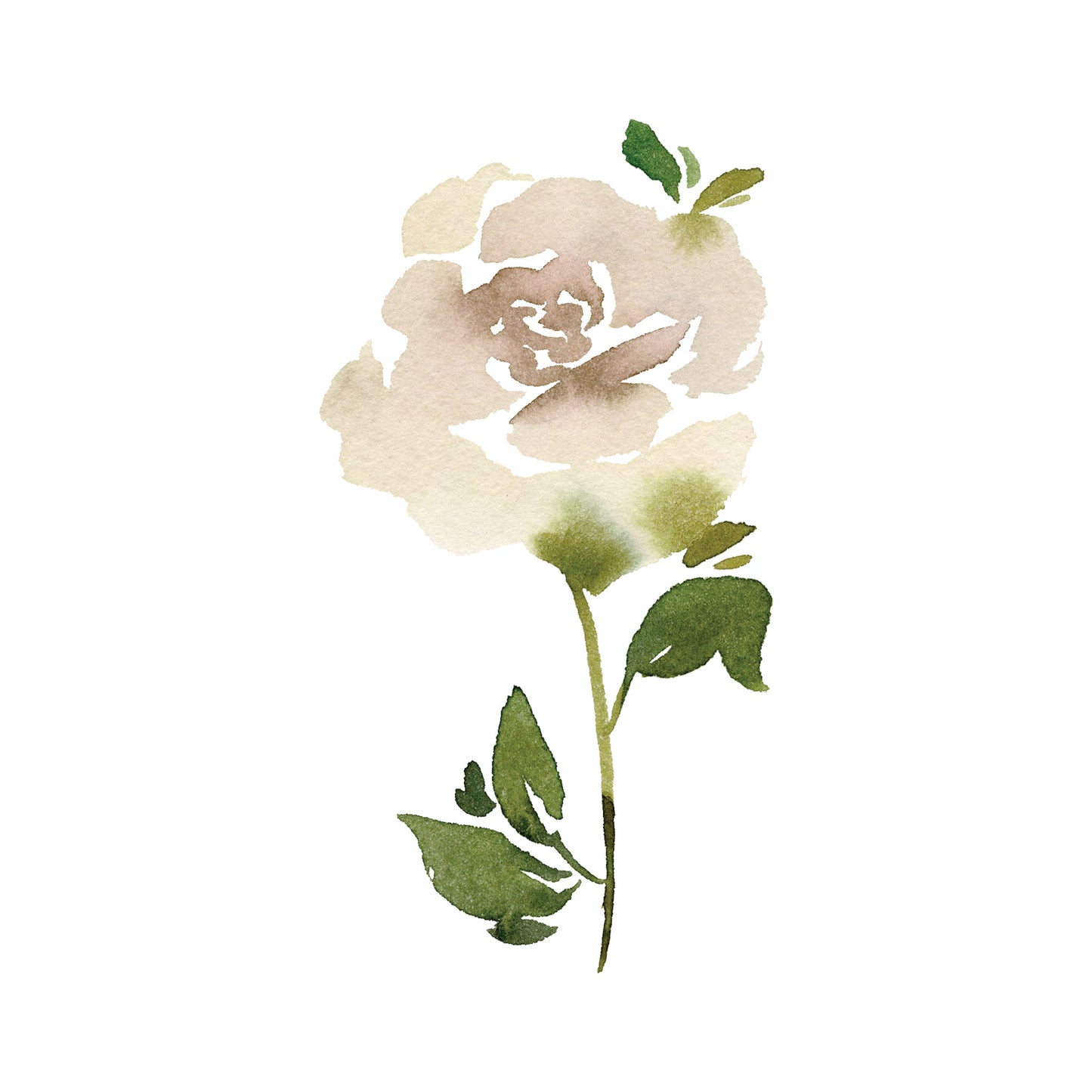 Cream Colored Single Rose Greeting Cards