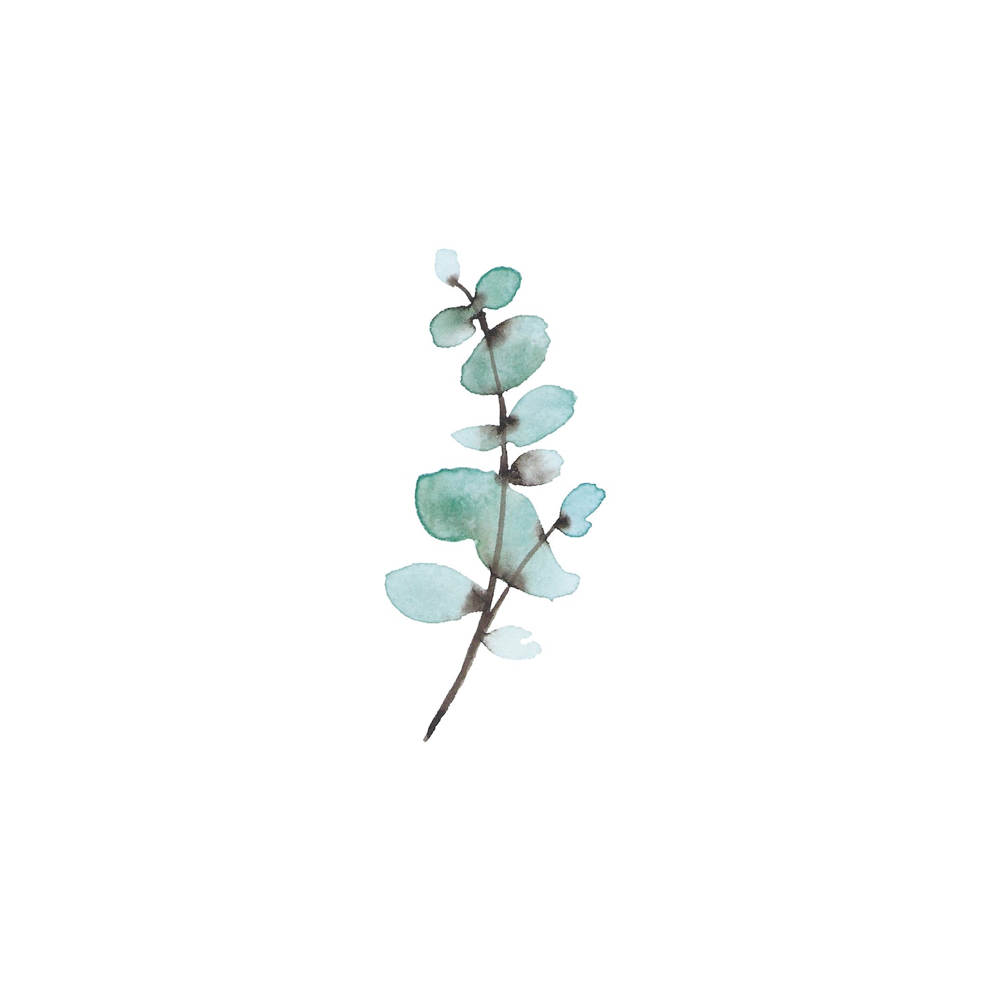 Eucalyptus Branch Greeting Card