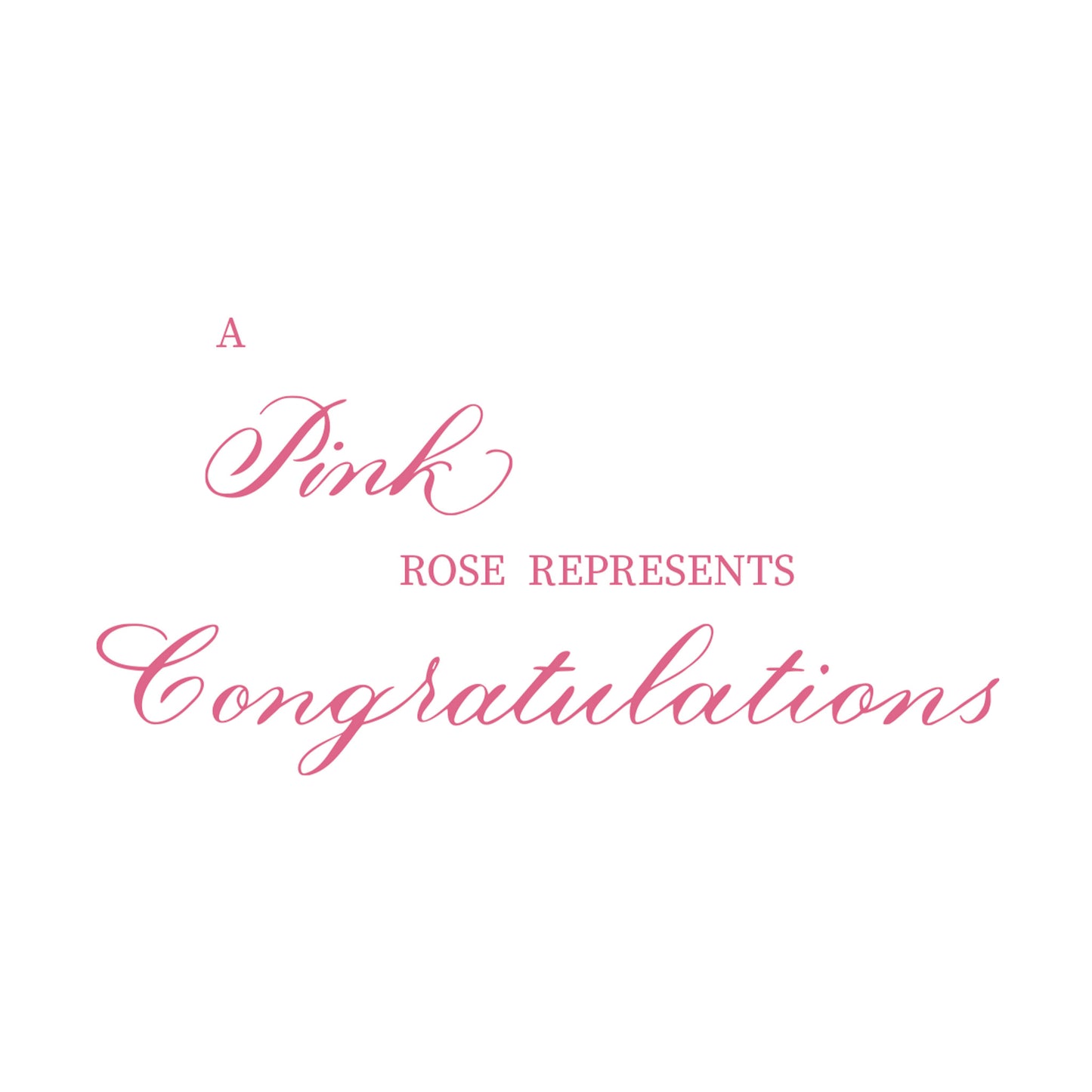 Pink Colored Single Rose Greeting Cards