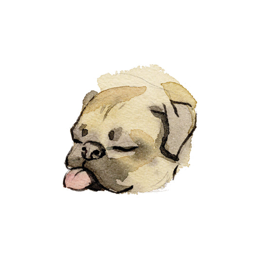 Sleeping pug watercolor greeting card
