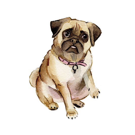 Sitting Pug Watercolor Greeting Card