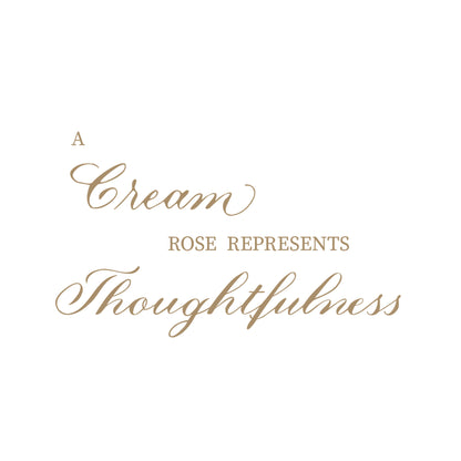 Cream Colored Single Rose Greeting Cards