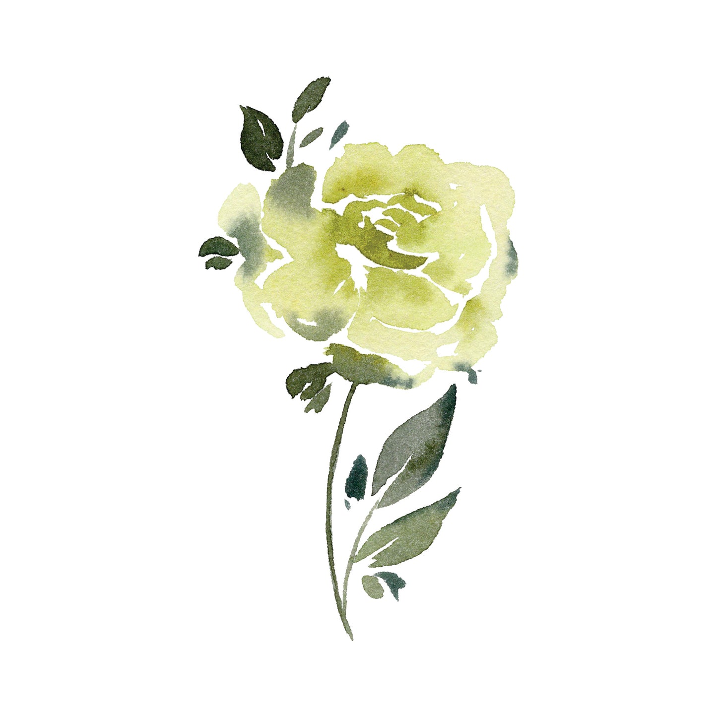 Green Colored Single Rose Greeting Cards