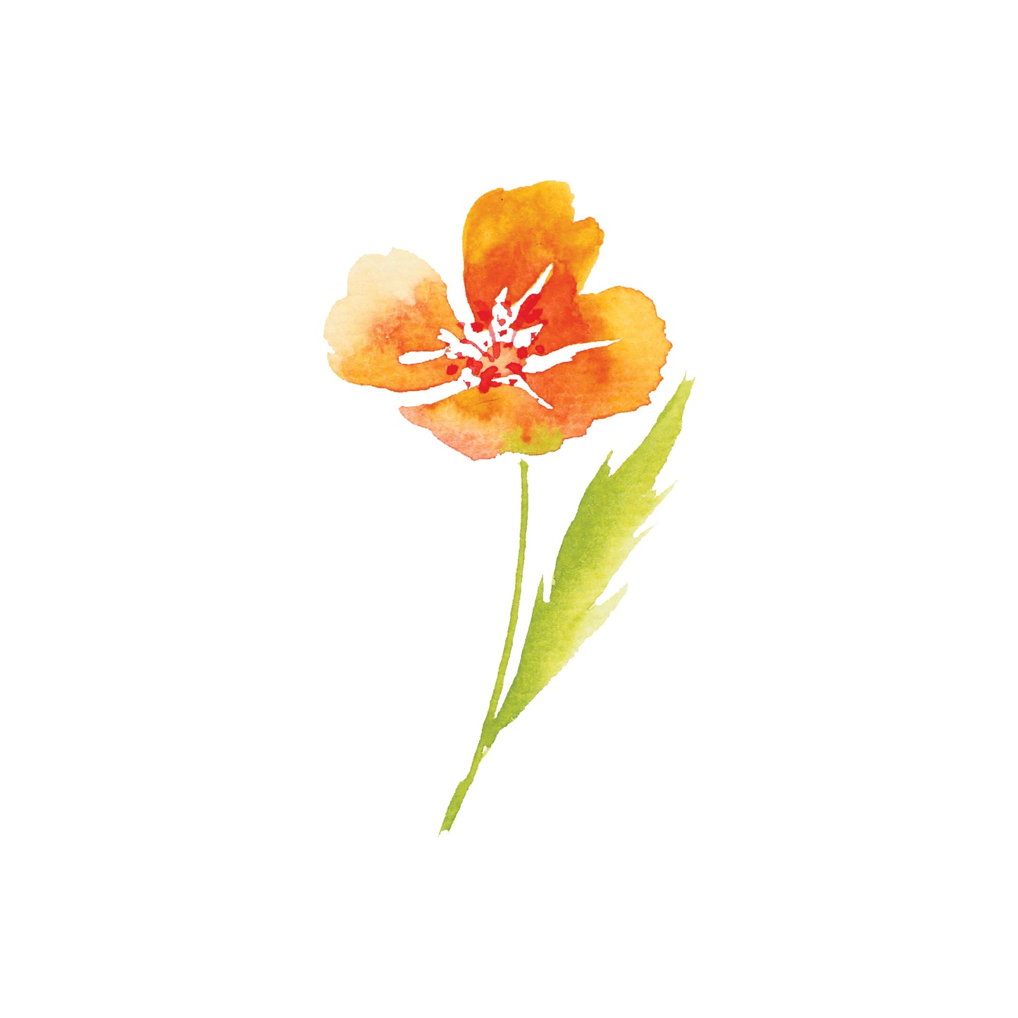 Orange Poppy Greeting Card