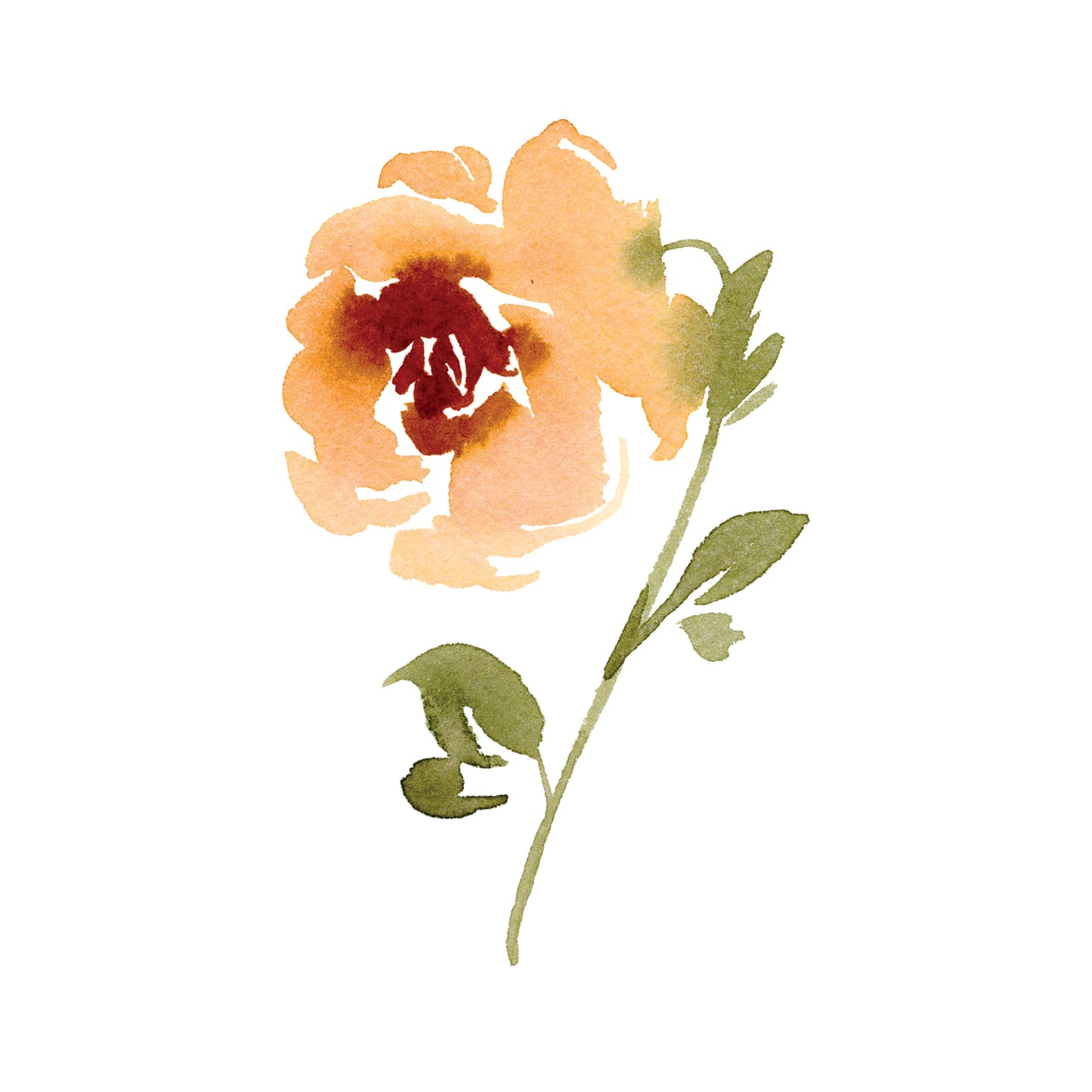 Orange single rose greeting card watercolor greeting card