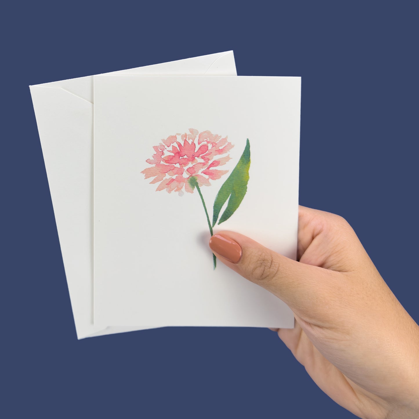 Pink Aster Greeting Card