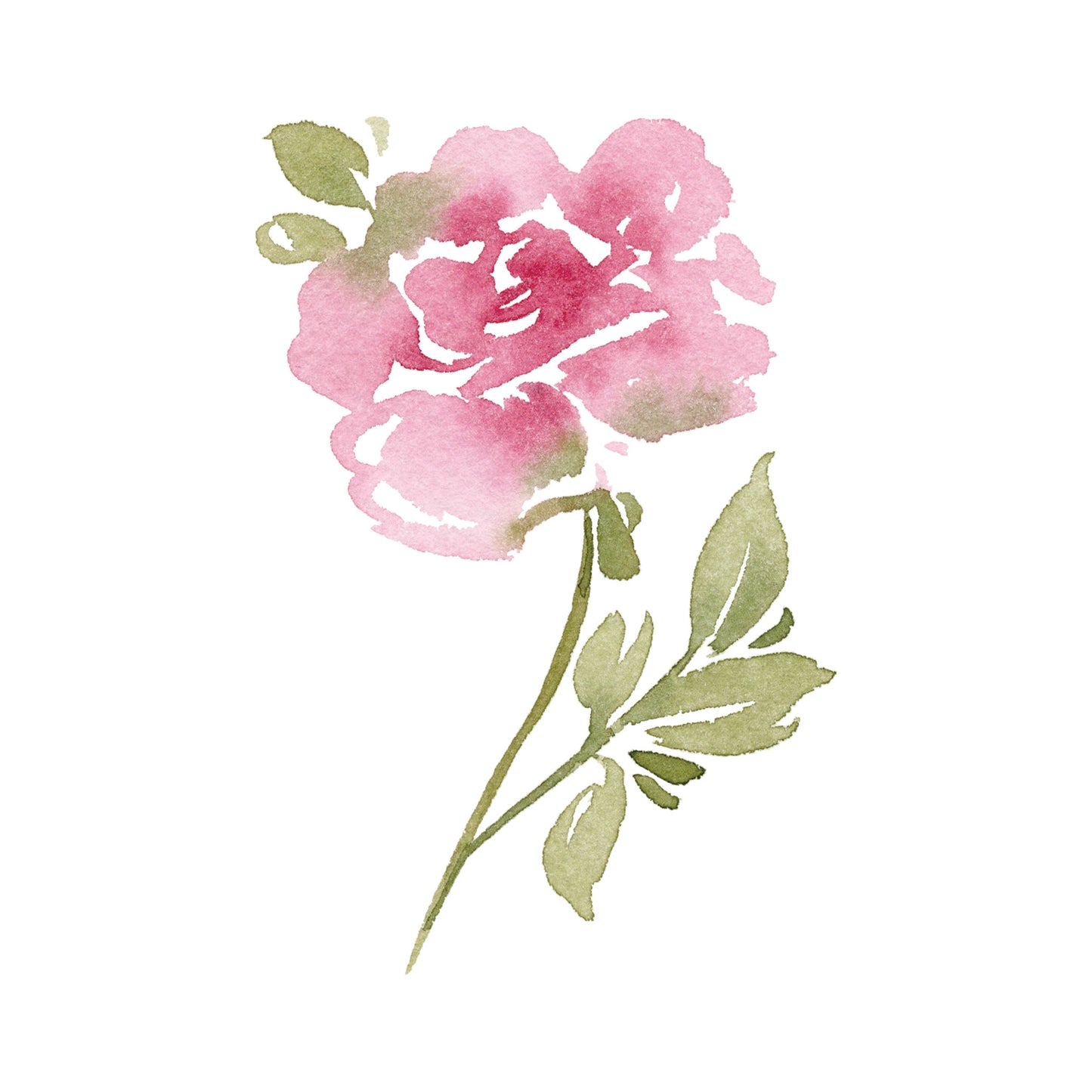 Pink Colored Single Rose Greeting Cards