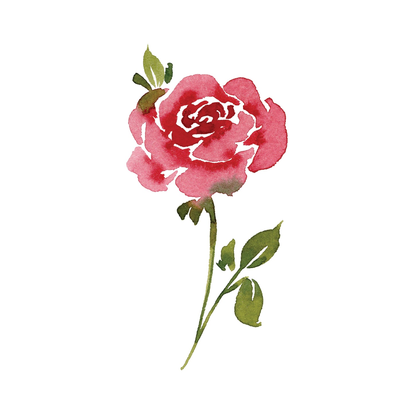 Red Rose Greeting Cards