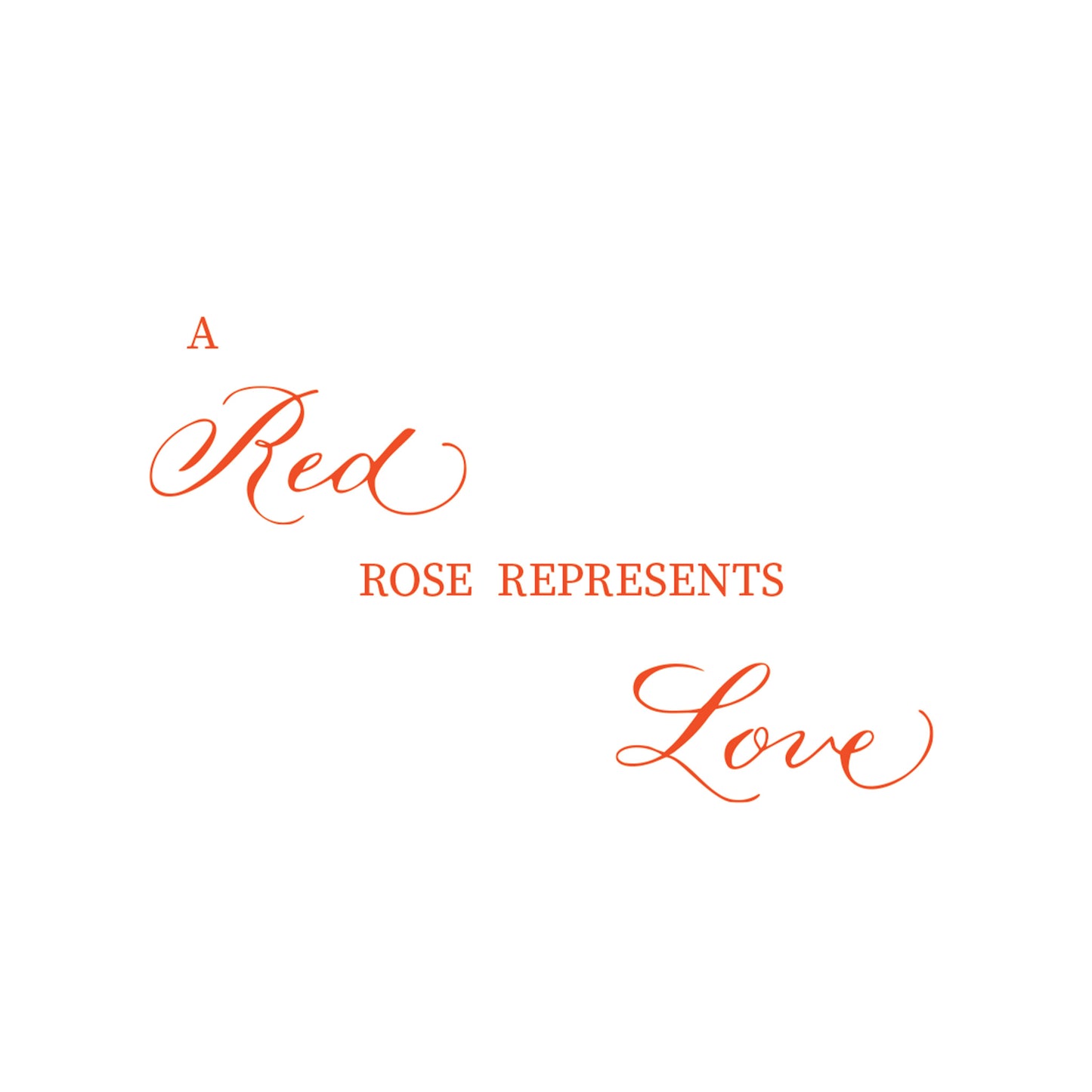 Red Rose Greeting Cards