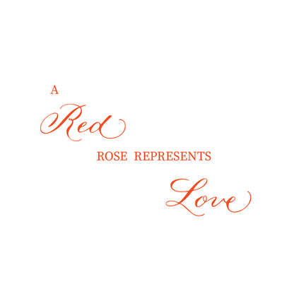 Red Rose Greeting Cards