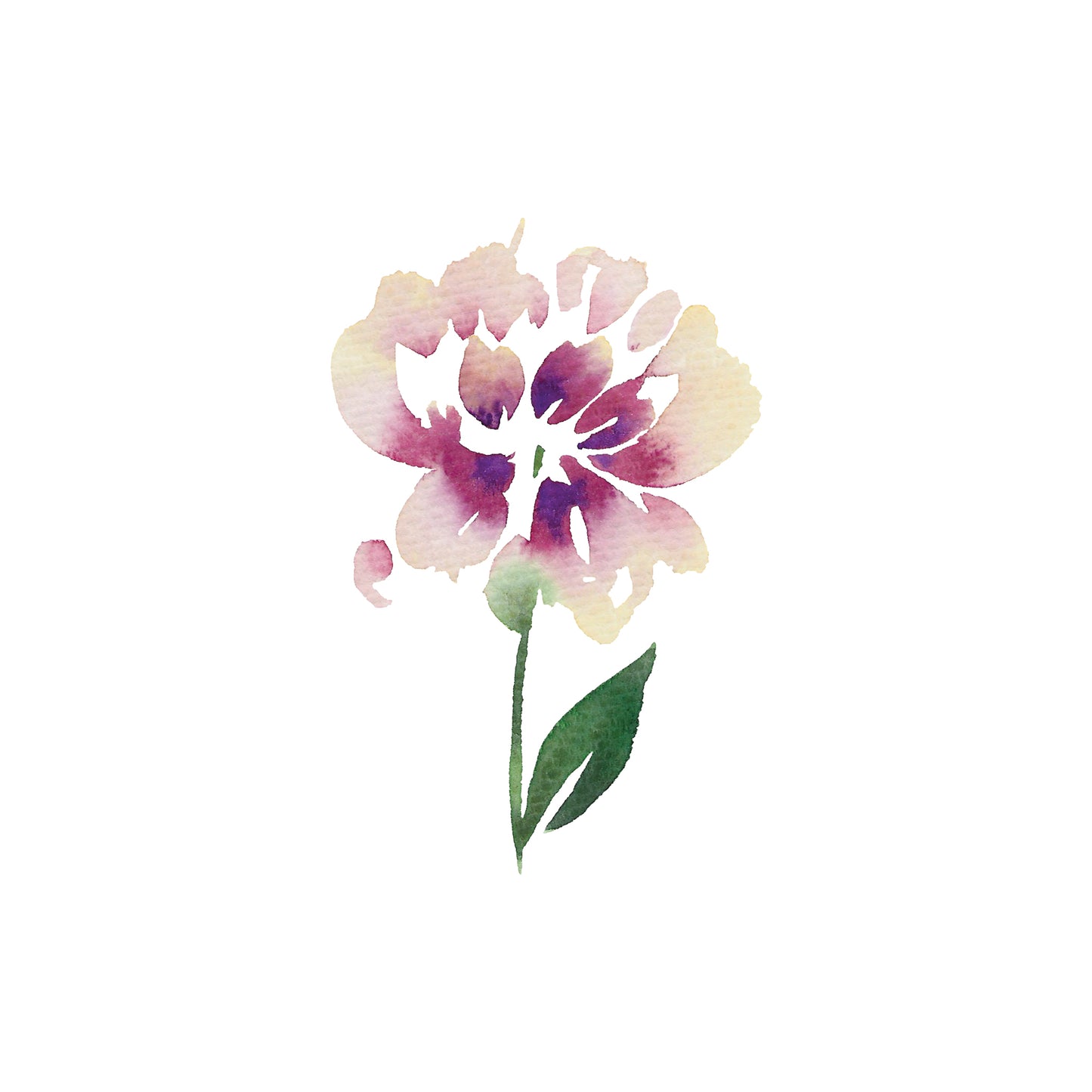 White and Dark Purple Peony Greeting Card