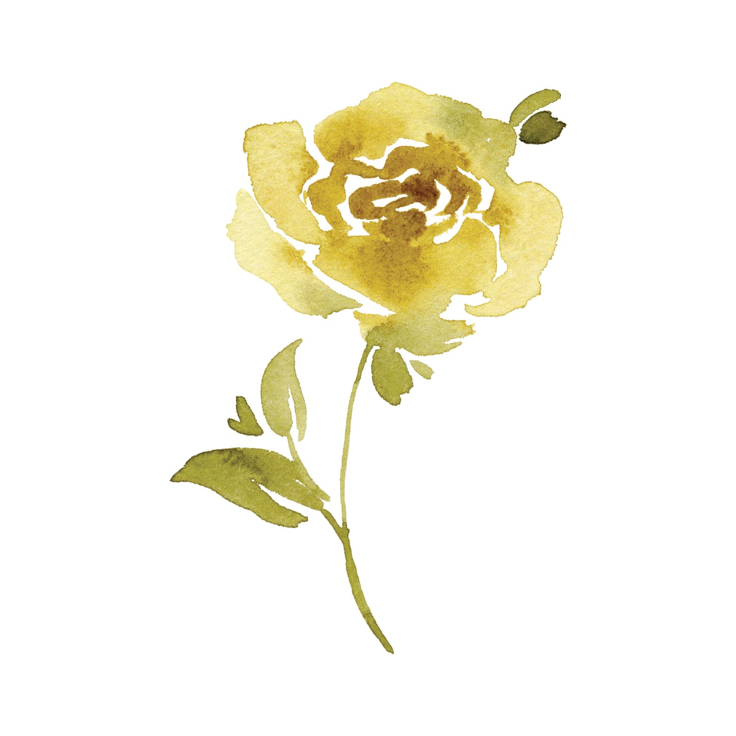 Yellow Rose Greeting Cards